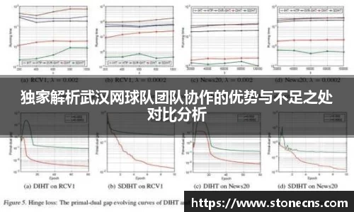独家解析武汉网球队团队协作的优势与不足之处对比分析