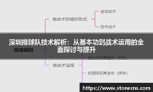深圳排球队技术解析：从基本功到战术运用的全面探讨与提升