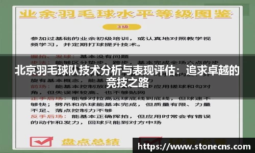 北京羽毛球队技术分析与表现评估：追求卓越的竞技之路